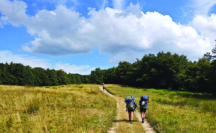 Route estiva 2025 - Foreste Casentinesi
